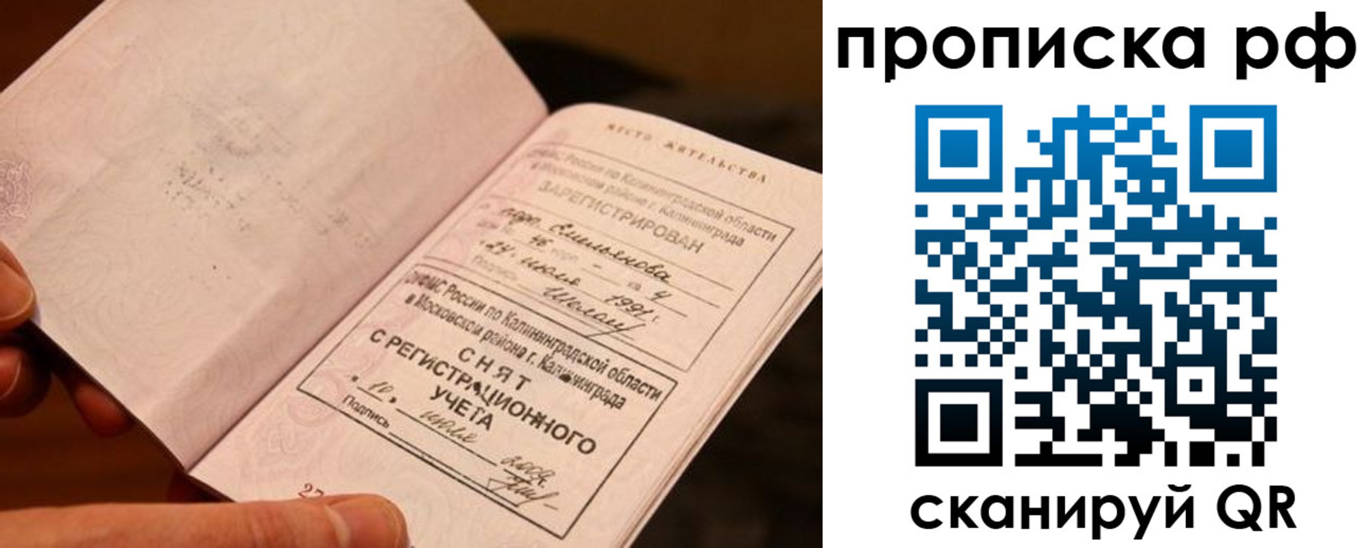 прописка гарантия в Порхове